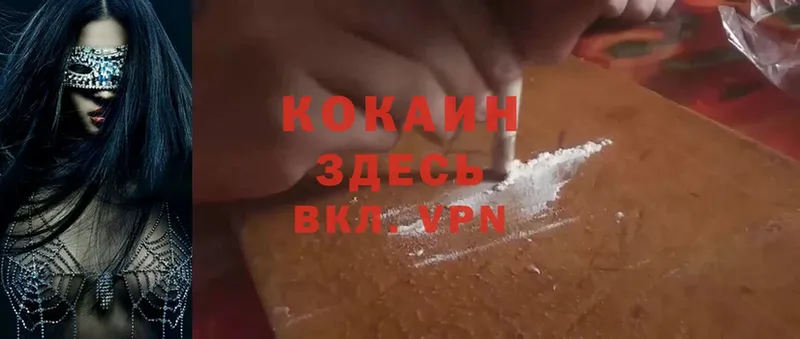 Кокаин Fish Scale  наркотики  darknet какой сайт  Оленегорск 