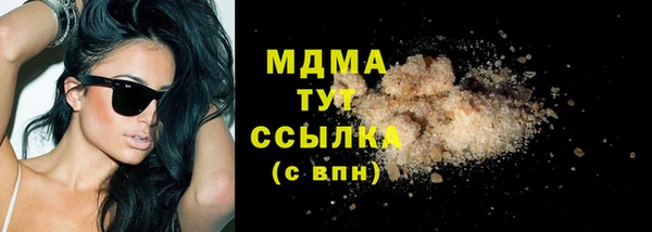 индика Новозыбков