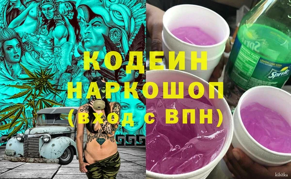 индика Новозыбков