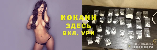 индика Новозыбков
