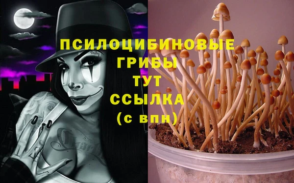 прущий лед Нягань