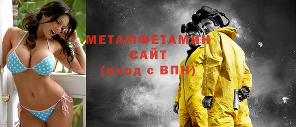 индика Новозыбков