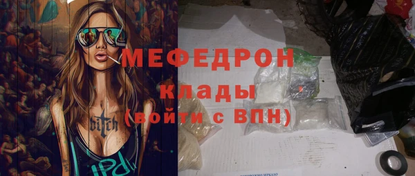 индика Новозыбков