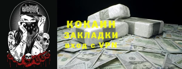 ALPHA PVP Няндома