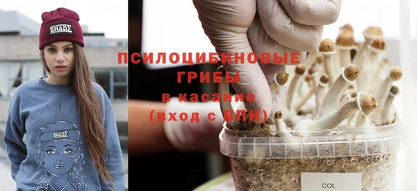 ГАЛЛЮЦИНОГЕННЫЕ ГРИБЫ Новодвинск