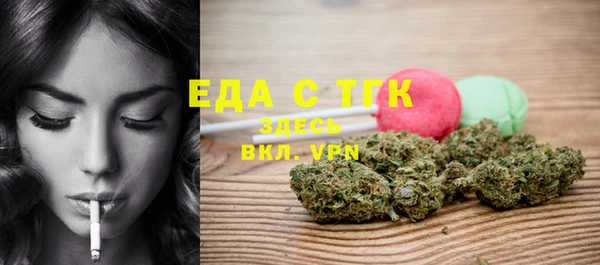 индика Новозыбков