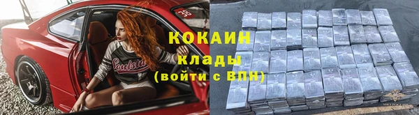ALPHA PVP Няндома