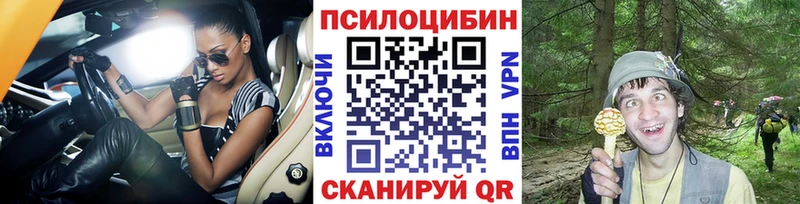 Галлюциногенные грибы GOLDEN TEACHER  ссылка на мегу tor  Оленегорск  закладки 
