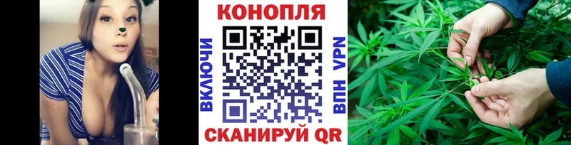 продажа наркотиков  Оленегорск  Каннабис VHQ 